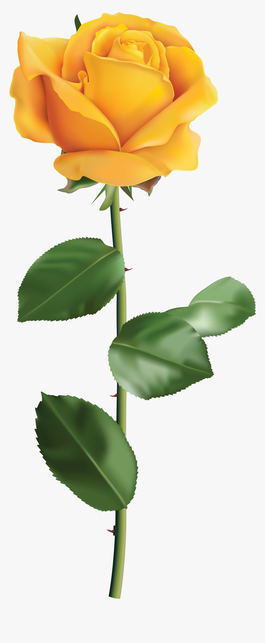 Transparent Rose Yellow Png - Yellow Rose Transparent Background, Png Download