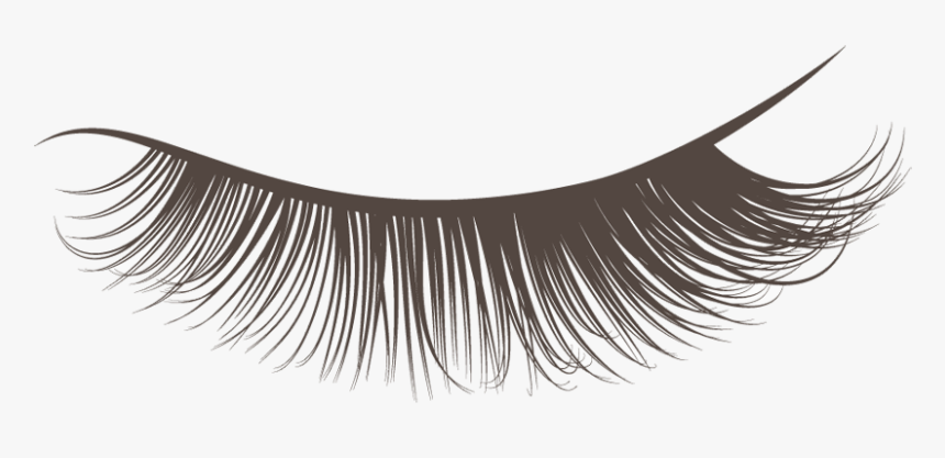 Best Lashcraft Eyelash Extensions - Transparent Background Lashes Clipart, HD Png Download