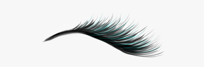 Eyelash Png - Eyelash Extensions, Transparent Png