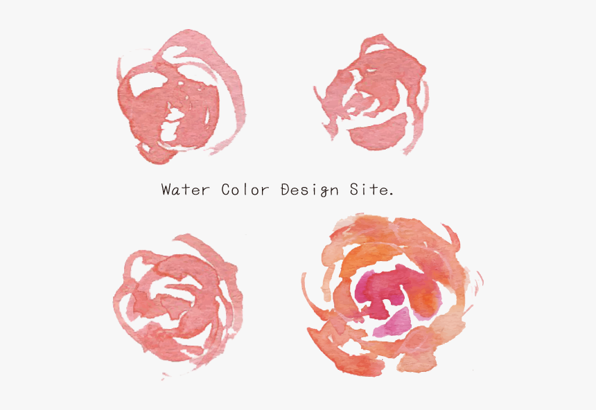 水彩ローズベクターパーツフリー素材 - Illustration, HD Png Download