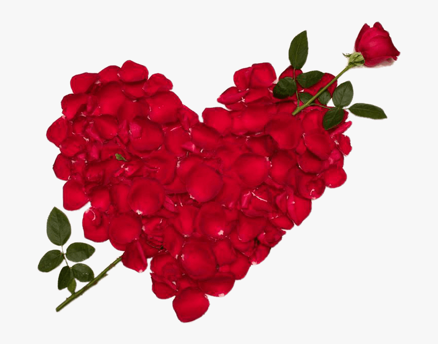 Valentines Day Roses Make Heart Png Images - Love Rose Flower, Transparent Png