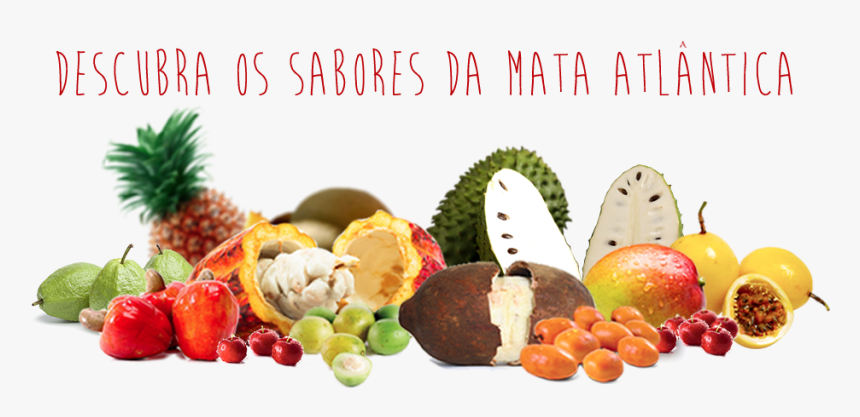 Thumb Image - Frutos Da Mata Atlantica, HD Png Download