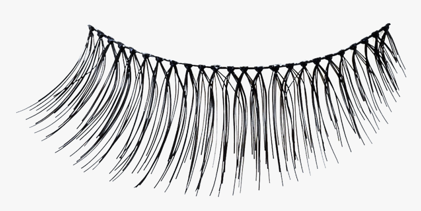 Eyelash Extensions, HD Png Download