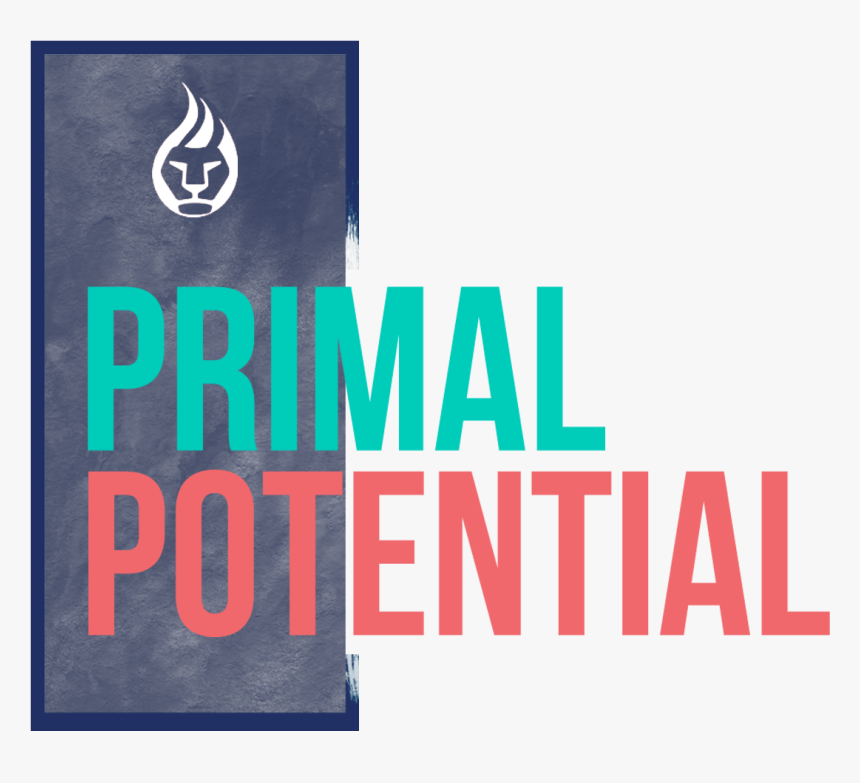 Graphic Design, HD Png Download