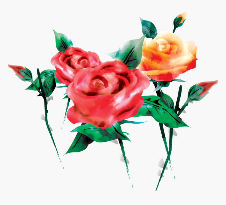 Garden Roses, HD Png Download