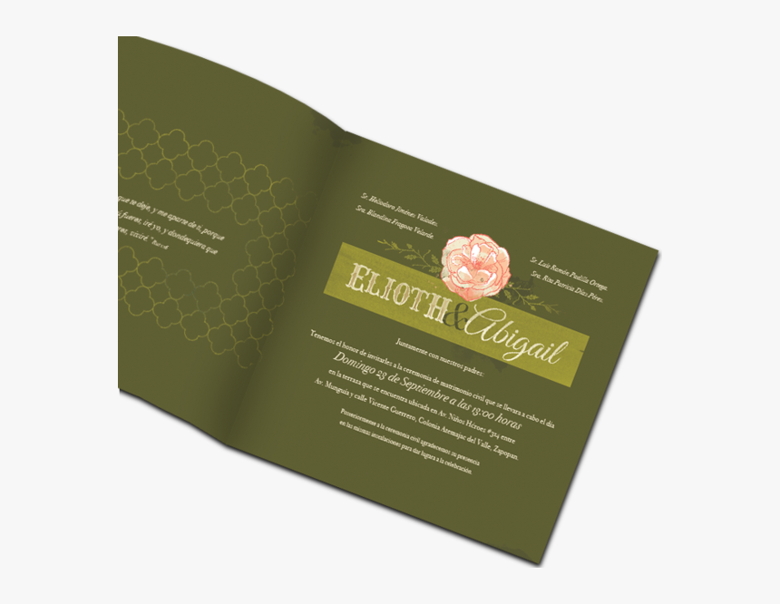 Japanese Camellia, HD Png Download