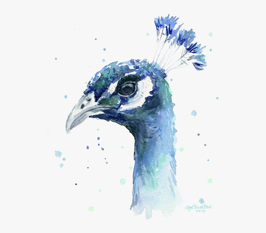Peacock Watercolor Painting, HD Png Download