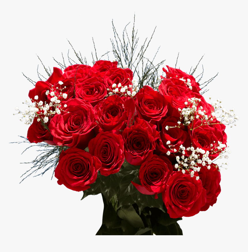 Order Two Dozen Red Roses Free Valentine S Day Delivery - Garden Roses, HD Png Download