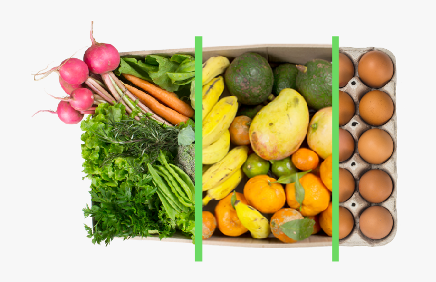 Combos Planos Co G-03 - Cesta De Folhas Organicas, HD Png Download