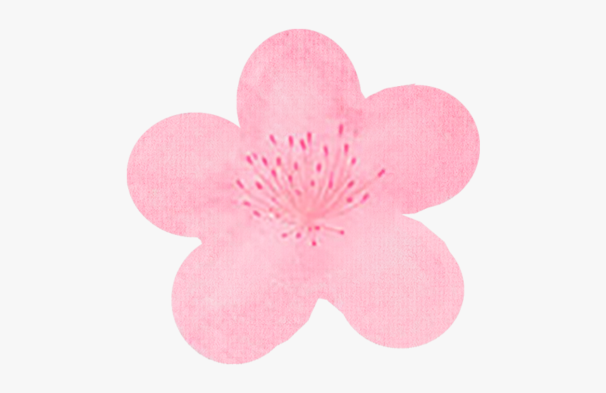 A By Bom Ultra Floral Leaf 2-step Mask 1 Box Of 5 Sheets - Cherry Blossom, HD Png Download