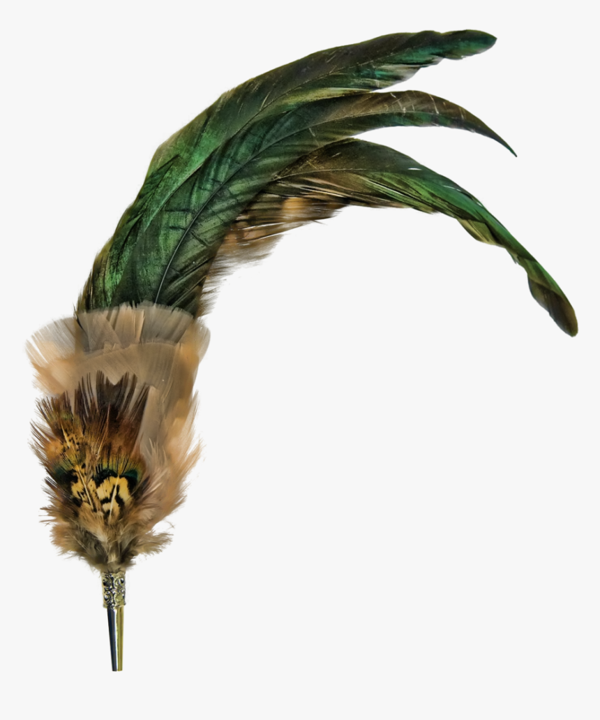 Feathers Clipart Bunch - Vintage Feather Png, Transparent Png