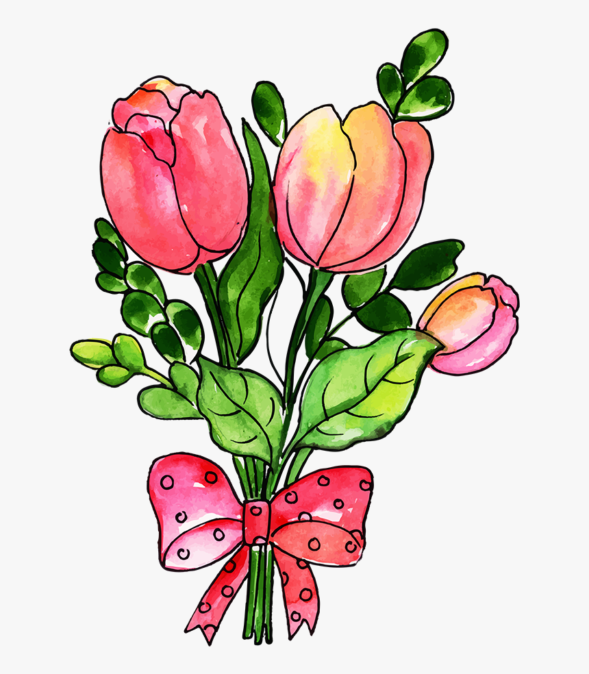 Tulip, HD Png Download