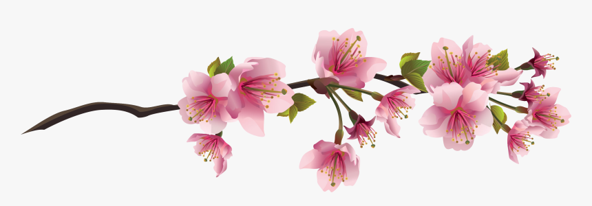 #cherryblossom #aesthetic #tumblr #vaporwave - Sakura Flower Transparent Background, HD Png Download