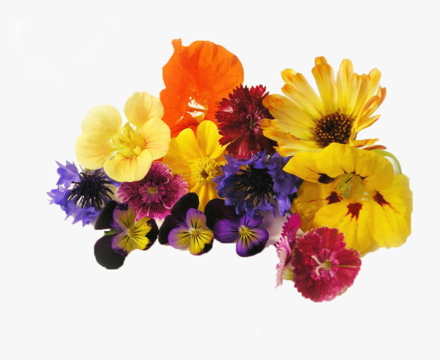 Edible Flowers Png, Transparent Png