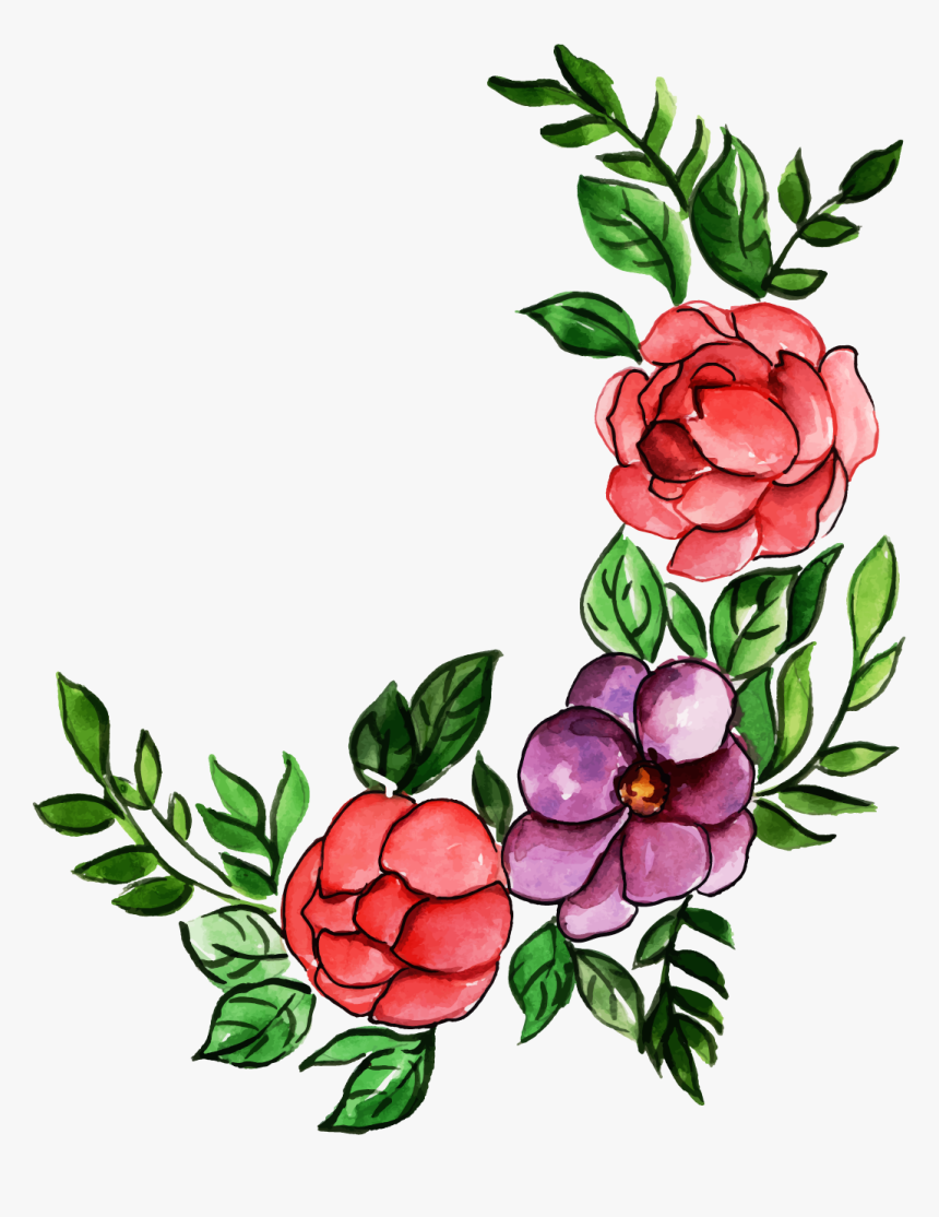 Giant Protea, HD Png Download