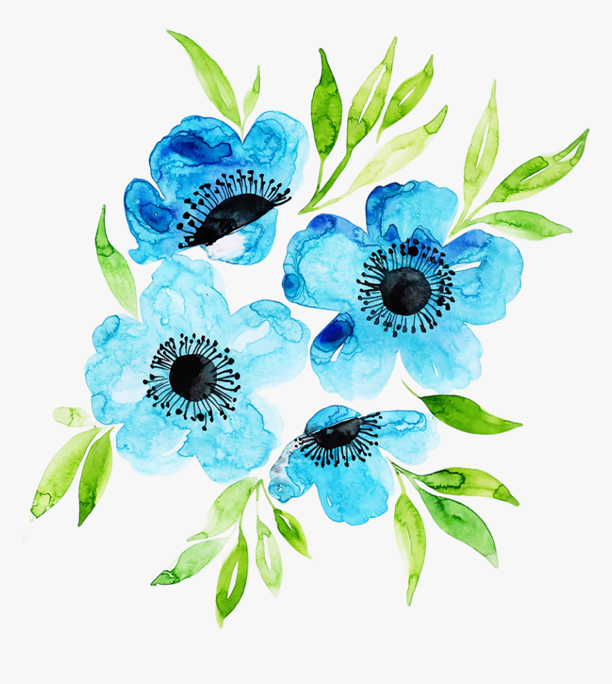 Common Peony, HD Png Download