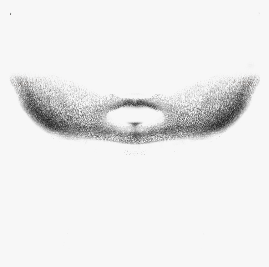 Sketch, HD Png Download