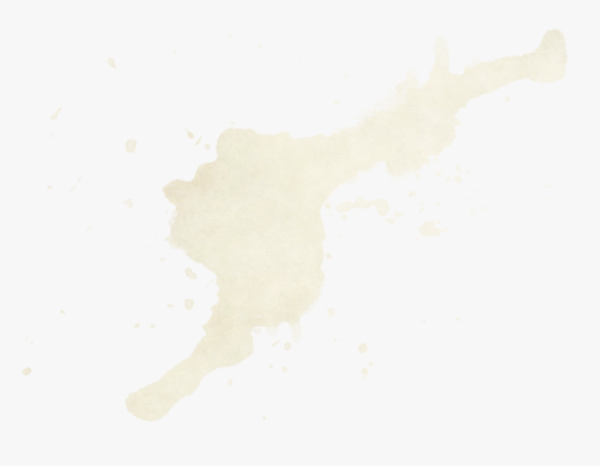 Paradise Hair Sims 4, HD Png Download