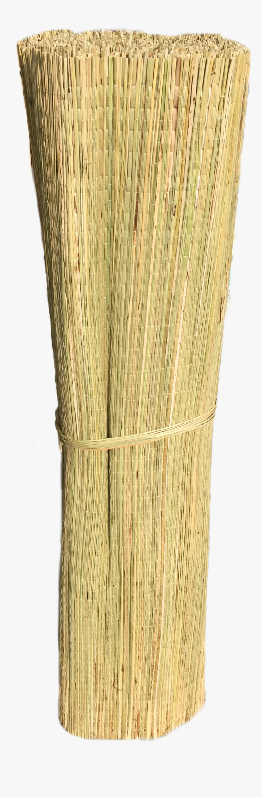 Gold Stroke Png, Transparent Png