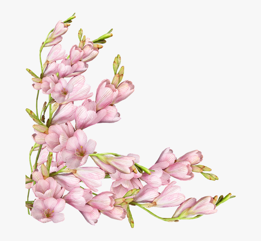 Flower, HD Png Download