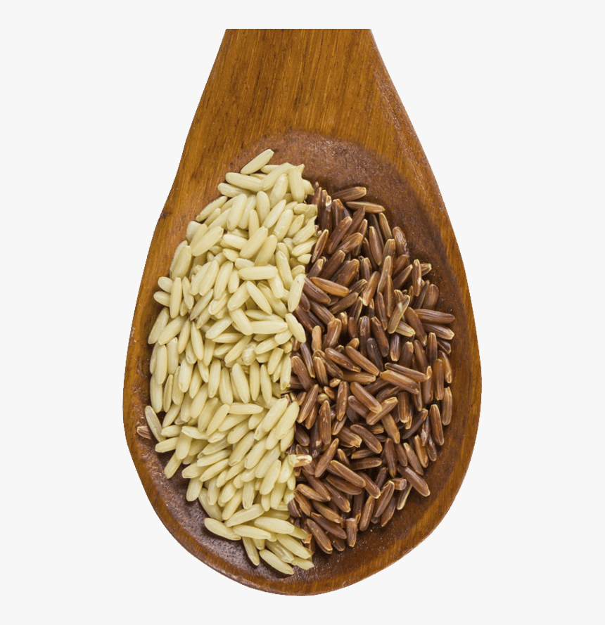 Grains Clipart Wheat Grass - 2 Cereales, HD Png Download