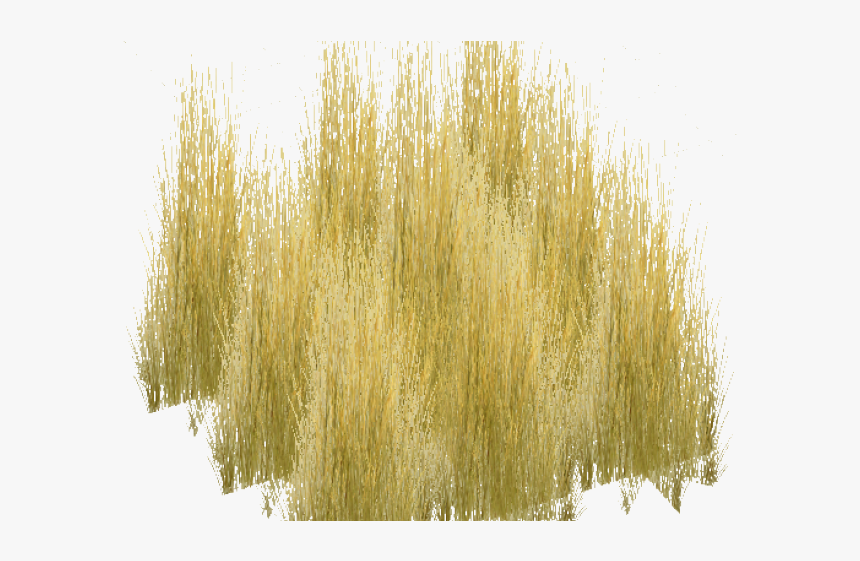 Dry Grass Clipart Realistic Grass - Plant, HD Png Download