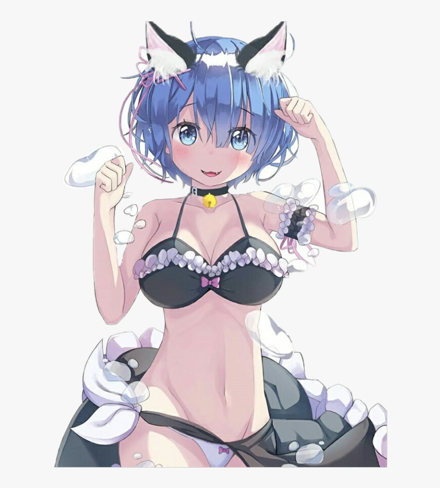 Rezero Rem Anime Kawaii Girlneko Neko Gato Cat Re Zero