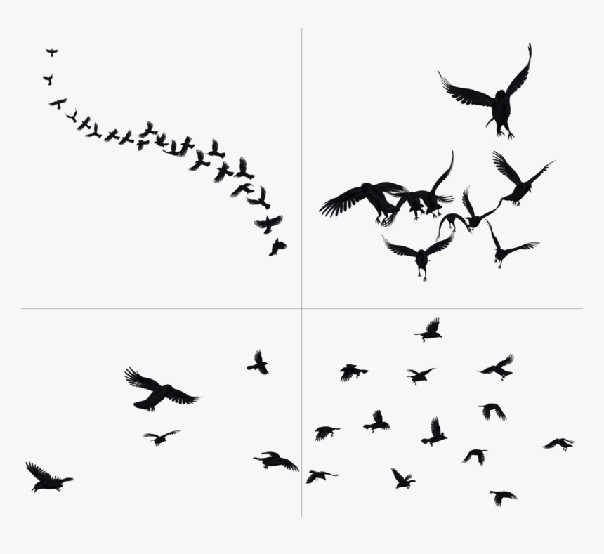 Png Transparent Download Free Png Background Images - Crows Png, Png Download
