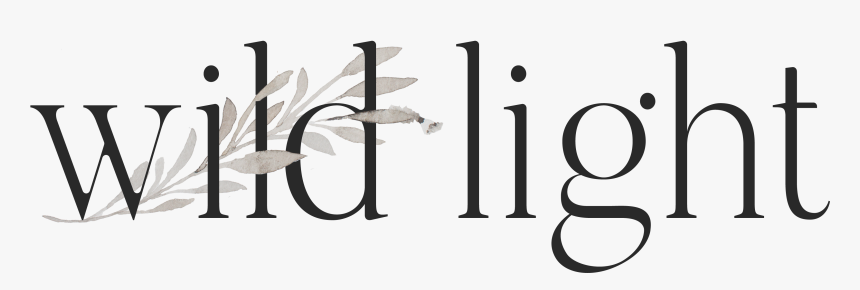 Wild Light - Calligraphy, HD Png Download