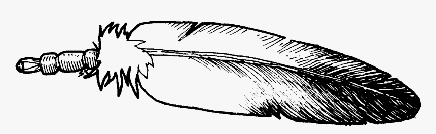 Eagle Feather Clipart Kid - Eagle Feather Clip Art, HD Png Download