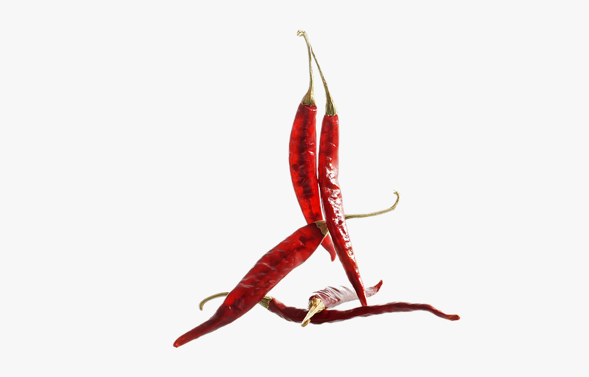 Seafood, HD Png Download