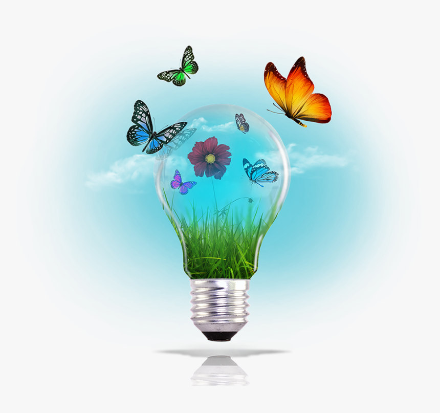 Smartclone Tool - Lycaenid, HD Png Download