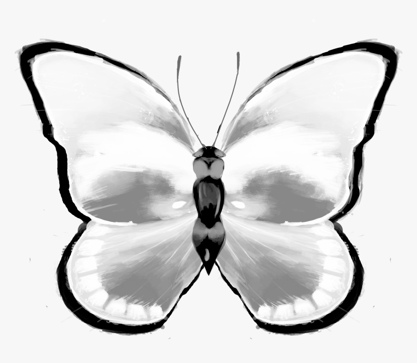 Butterflies, HD Png Download