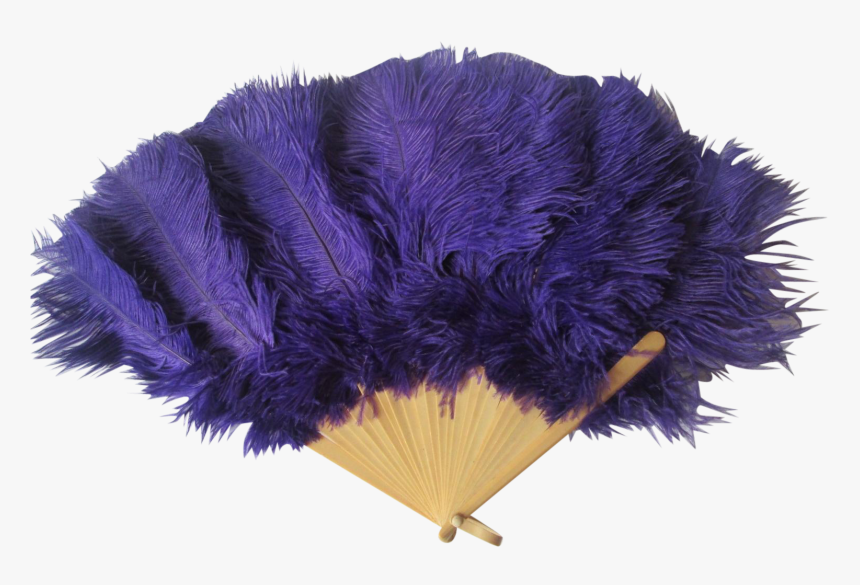 Ostrich Feather Png Purple Ostrich Feather Fan Vintage - Common Ostrich, Transparent Png