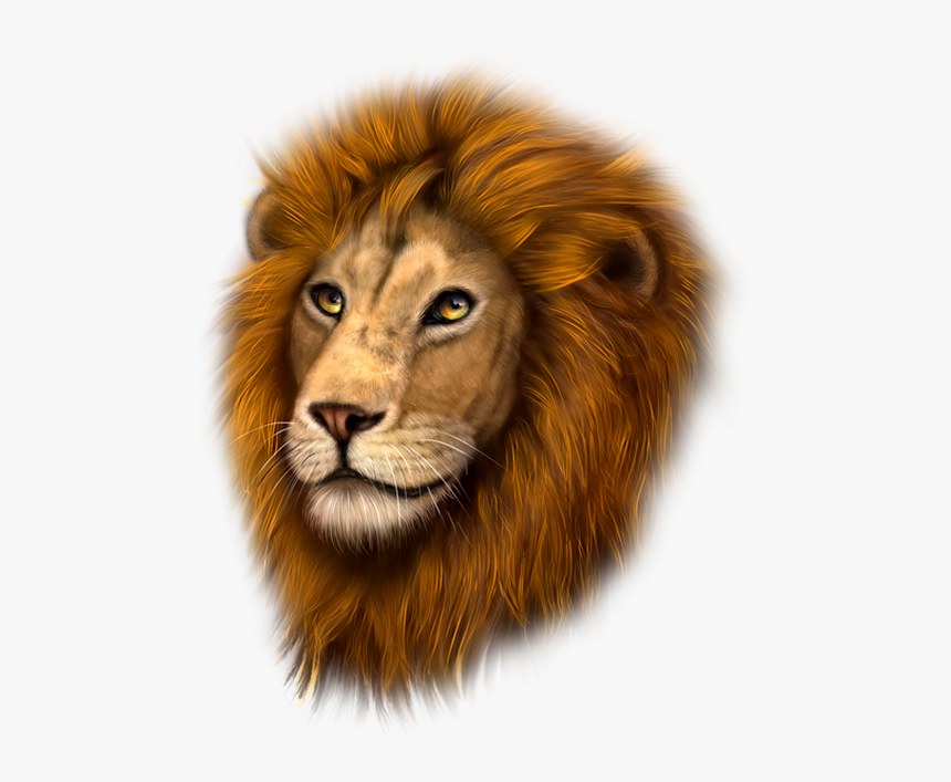 Tubes Animaux,psp - Masai Lion, HD Png Download