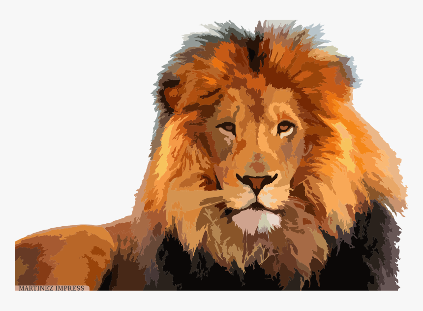 وجه اسد Png, Transparent Png