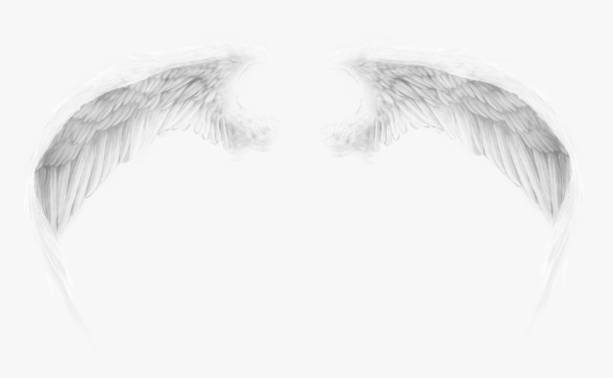 Ảnh Cánh Thiên Thần Và Ác Quỷ, HD Png Download