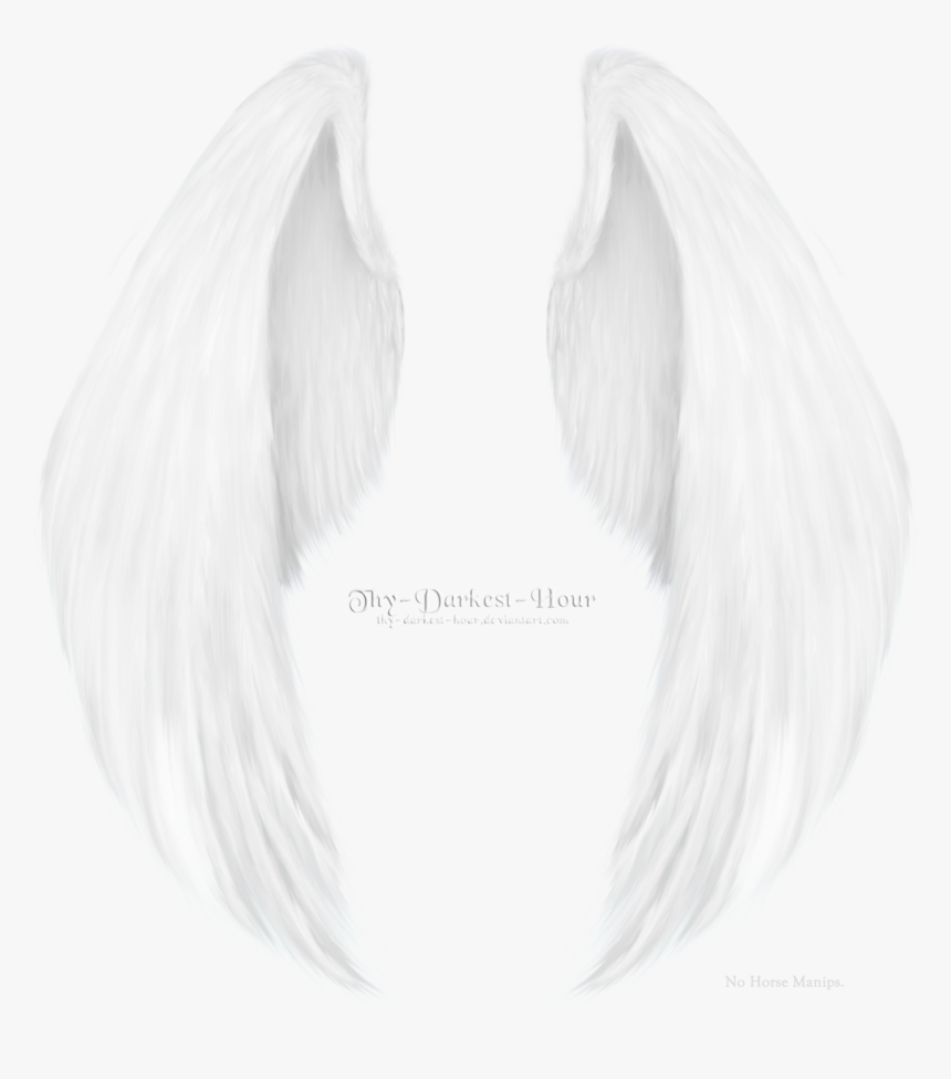 Sketch, HD Png Download