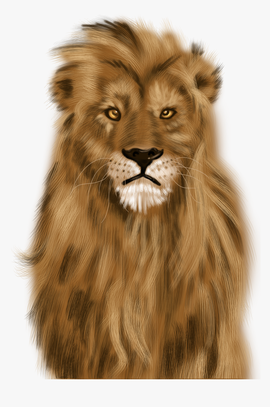 Imagenes De Leon Feroz, HD Png Download