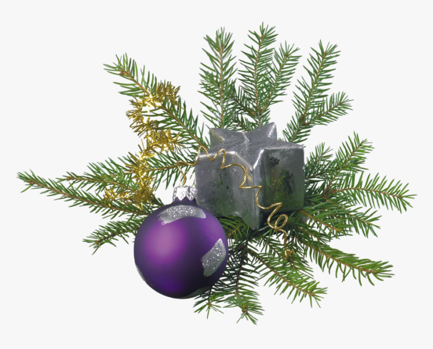 Branche De Sapin De Déco, HD Png Download