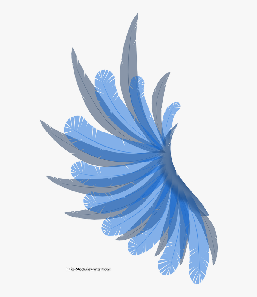 Rainbow Wing Png, Transparent Png