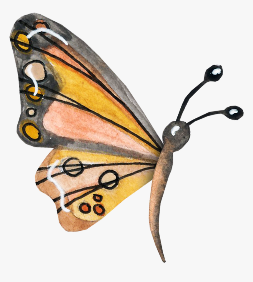 Clip Art Butterfly Nymphalidae Danaus - Monarch Butterfly, HD Png Download