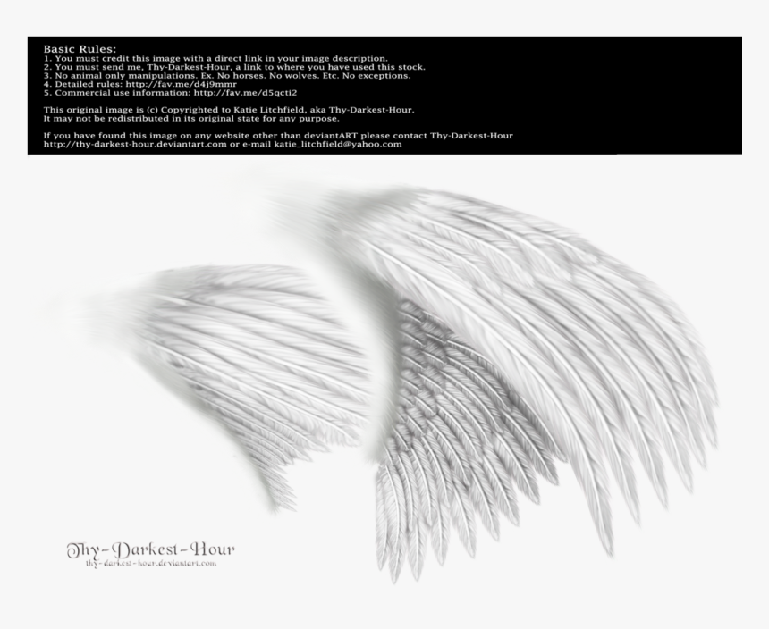 Dual White Med Png - Angel Wings Side View Png, Transparent Png
