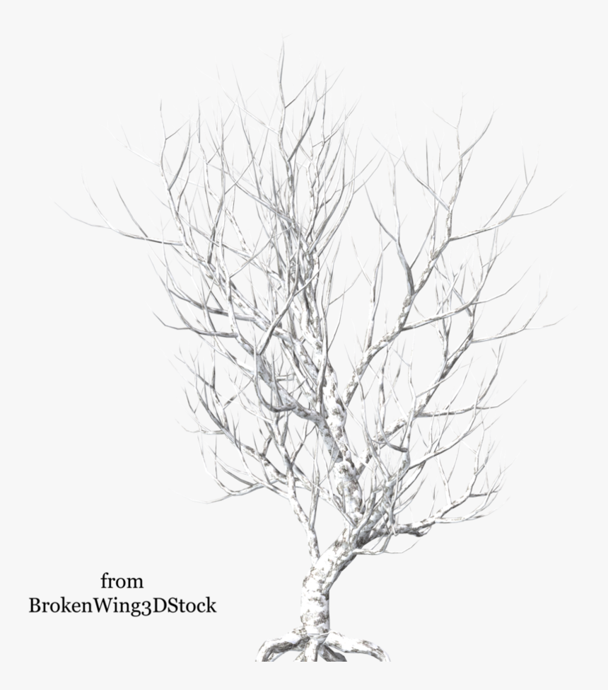 Winter By Brokenwing Dstock - Broken Tree Png Hd, Transparent Png