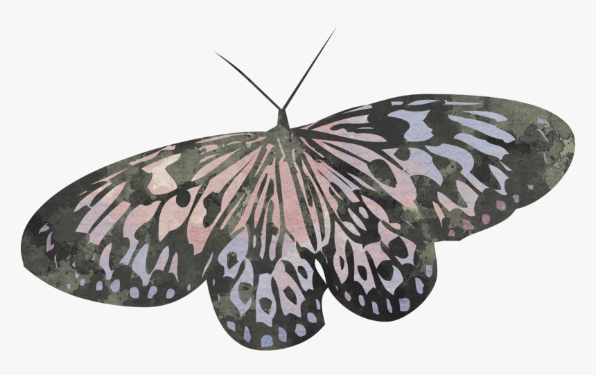 #butterfly #scrapelement - Riodinidae, HD Png Download