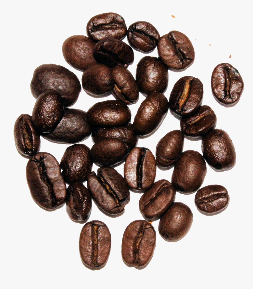 Seed, HD Png Download