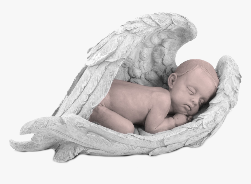 Donation 
 Class Details Gallery Picture Details Gallery - Stillborn Babies, HD Png Download