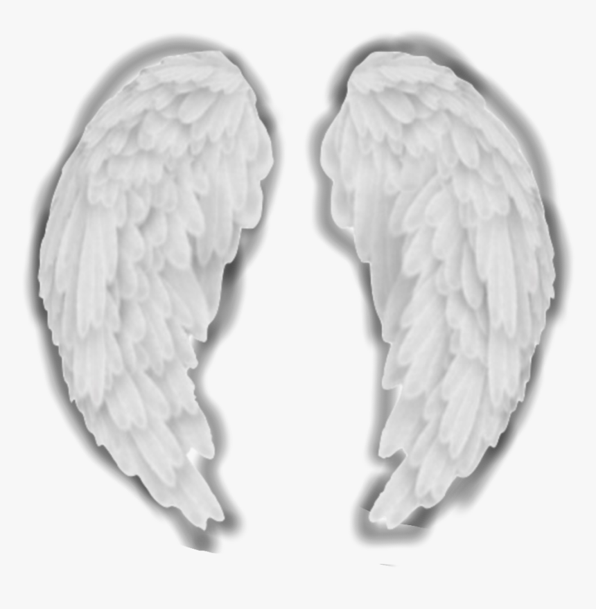 pix Aesthetic Black And White Wings angel wings aesthetic white complex