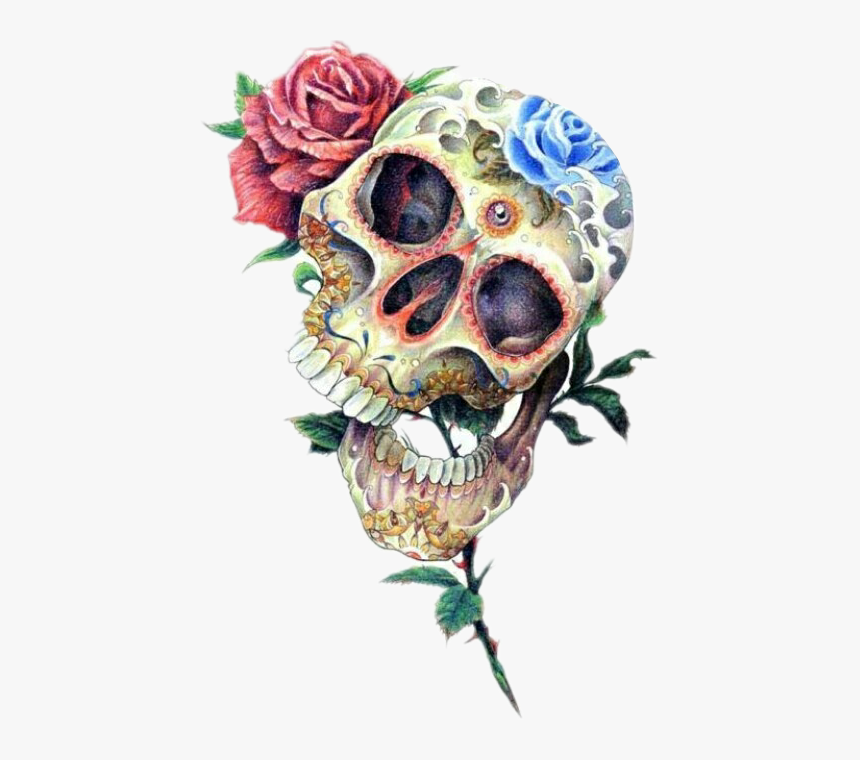 #skull #skulls #roses #skullsandroses #tattoo #tattooart - Roses On Mexican Skull, HD Png Download