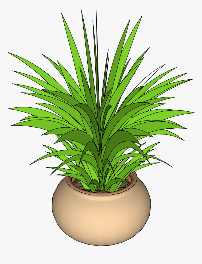 Plant Png Sketchup, Transparent Png